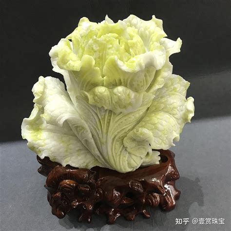 玉白菜